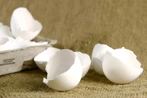 Broken eggshell on brown canvas 库存照片