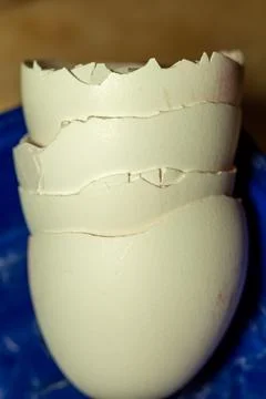 Broken eggshell fragments stacked on blue surface a symbol of fragility Фото