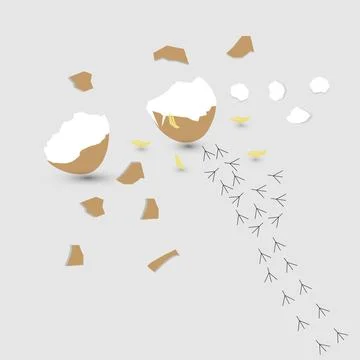 Broken eggshell Stockillustratie