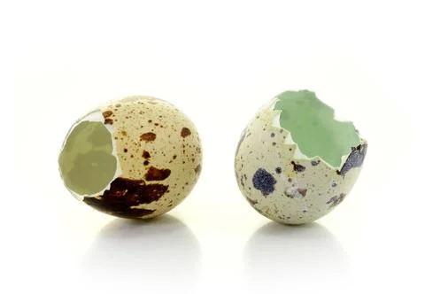 Broken eggshell ,isolated on white Stock Photos