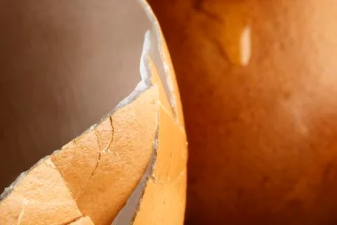 Broken eggshell Stock Photos
