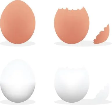 Broken eggshells and whole eggs on white background Stock Illustration