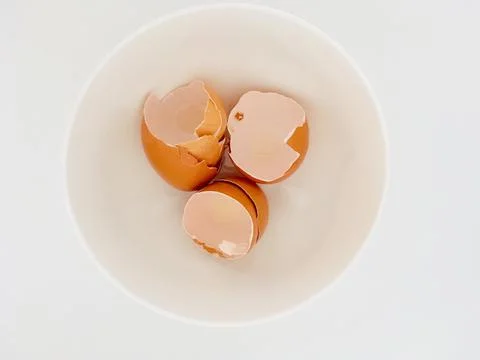 Broken eggshells in a bowl Stock Photos