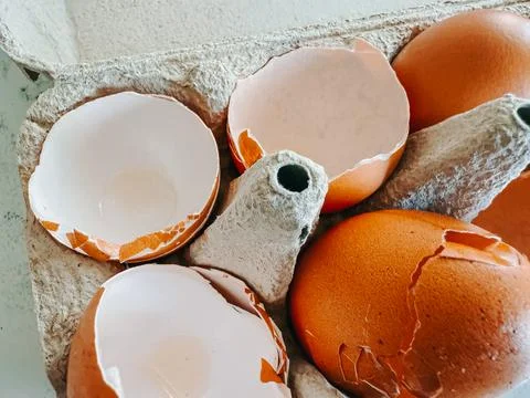 Broken Eggshells in Carton Close-Up, Kitchen Food Waste Concept Stock Photos