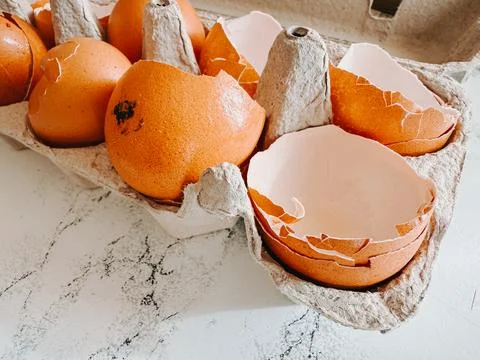 Broken Eggshells in Carton Tray on Marble Kitchen Surface Stock Photos
