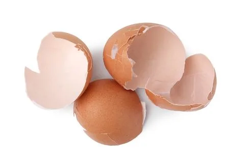 Broken eggshells isolated on white, above view 스톡 사진