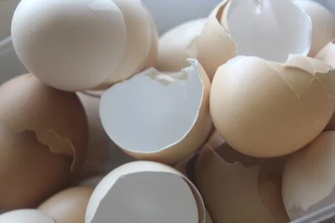 Broken eggshells Stock Photos