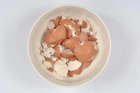Broken Eggshells 스톡 사진