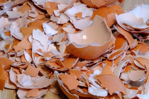 Broken eggshells. Recycling of kitchen waste, Shredded eggshells for compost  스톡 사진