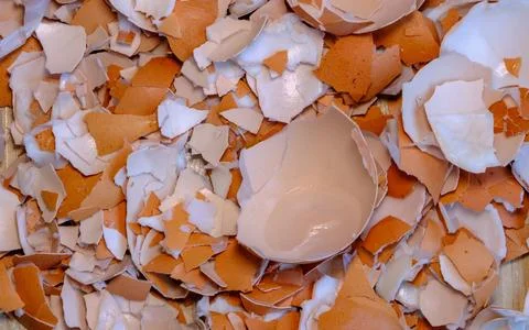 Broken eggshells. Recycling of kitchen waste, after cooking. Shredded eggshel 스톡 사진