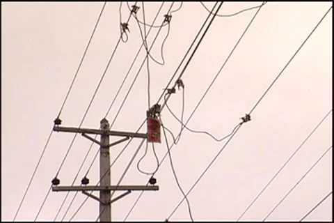 Broken electrical lines Video stock 7814204