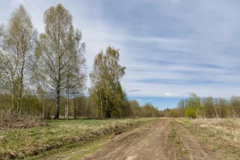 Broken empty country road surrounded by trees on a sunny summer day. The road Stock Photos