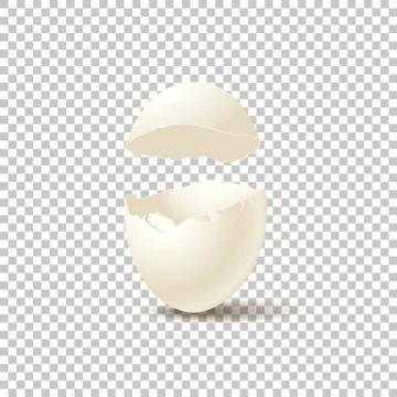 Broken empty eggshell isolated on transparent background. Vector realistic イラスト素材