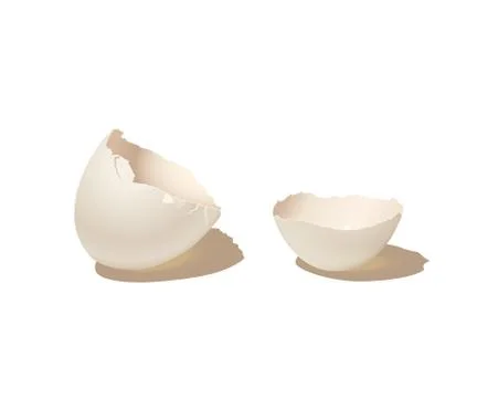 Broken empty eggshell isolated on white background. Vector realistic 스톡 일러스트