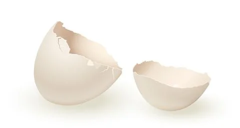 Broken empty eggshell isolated on white background. Vector realistic white egg. Stockillustratie