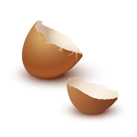 Broken empty eggshell isolated on white background. Vector realistic brown egg. Stock Illustration