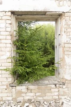 A broken, empty window of building ruins from Soviet times. Stock Photos