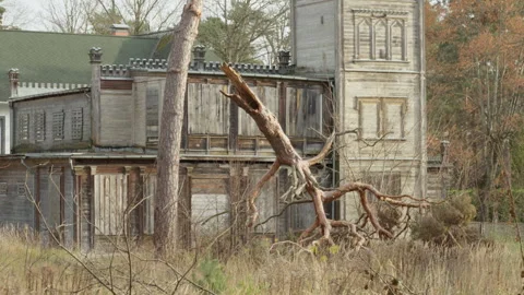 Broken fallen tree in front of abandoned historic wooden mansion Jurmala Latvia Stock Footage 325973428