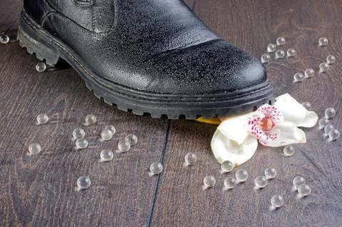 Broken feelings concept with crashed bloom Stock Photos