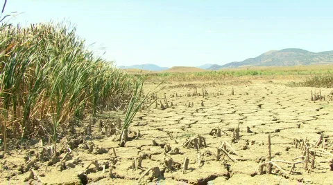 Broken Field Stock Footage