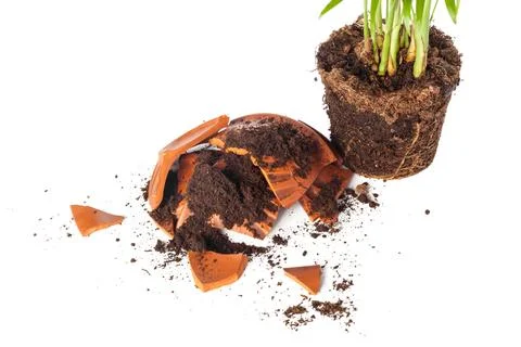 Broken flowerpot Stock Photos