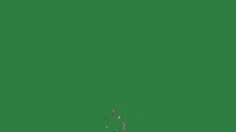 Broken Flying - Chroma Key Green Screen Footage Stock Footage 338017625