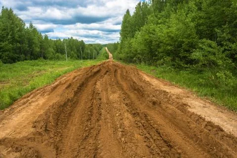 Broken forest dirt road. Stock Photos