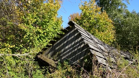 Broken forest hut, autumn Stock Footage 116809551