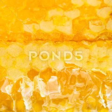 Broken fresh yellow honey comb Stock Photos