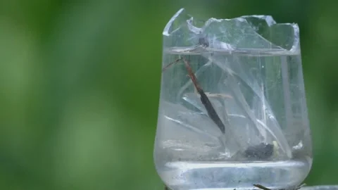 BROKEN GLASS Video stock 140235797