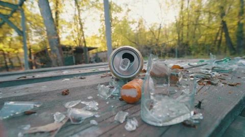Broken Glass Shards, Empty Beer Can and Litter Left on Wooden Picnic Table Stock Footage 333924746