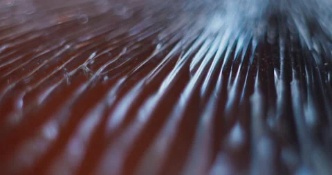Broken glass, top view. Macro shooting. High Quality. Stock Footage 167107499