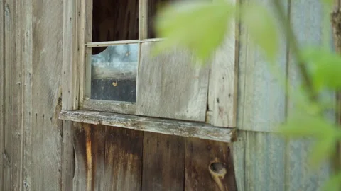 Broken glass window on old barn Stock Footage 130885164
