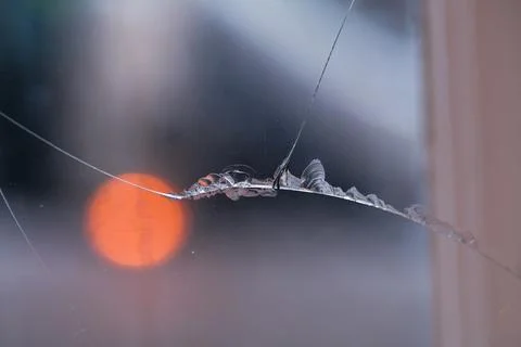 Broken Glass of a Window Stock Photos