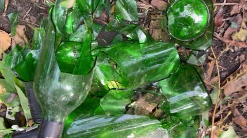 Broken green bottles in the forest Stock Footage 252354486