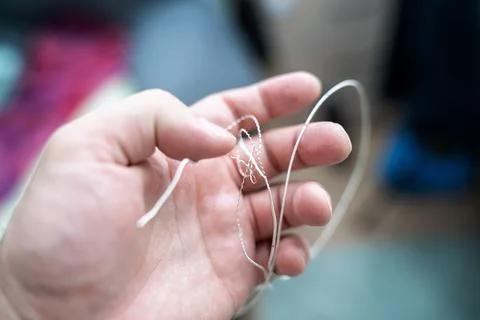 A broken guitar string with damaged winding held in a musician's hand Stock Photos