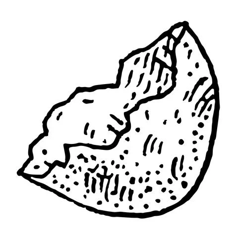 Broken halved quail egg shell. Vintage vector engraving black Stock-Illustration