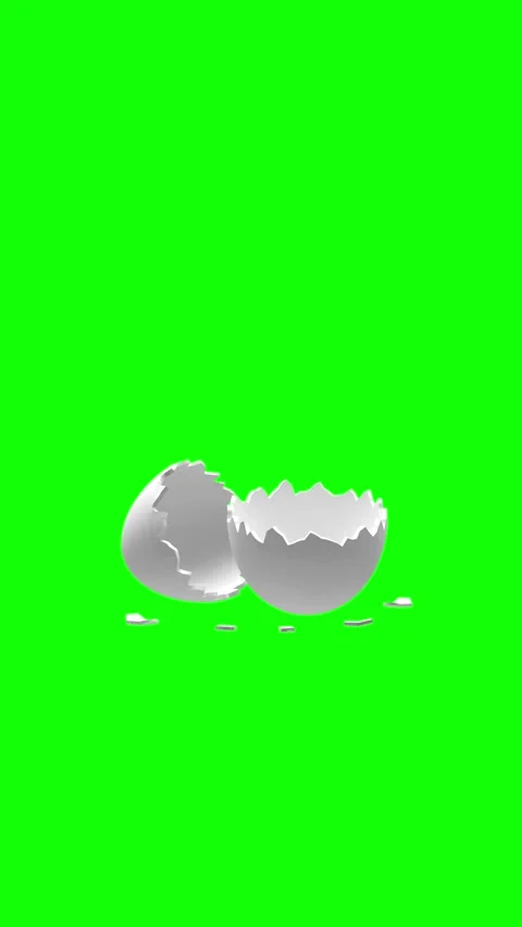Broken halves of white eggshell on green screen, 3D rendering. Stock Footage 336074452
