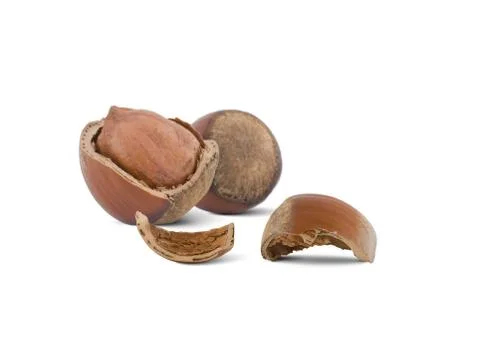 Broken hazelnuts Stock Photos