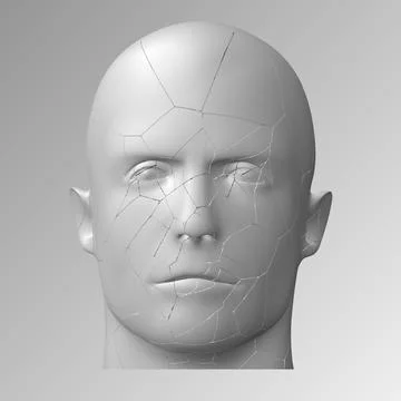 Broken head, 3d illustration. The split face of a person Stock Illustration