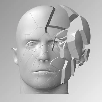 Broken head, 3d illustration. The split face of a person イラスト素材
