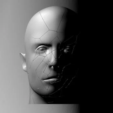 Broken head, 3d illustration. The split face of a person Stock Illustration