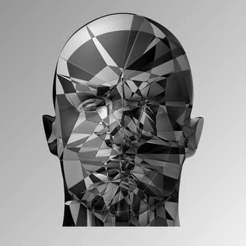 Broken head, 3d illustration. The split face of a person Stock Illustration