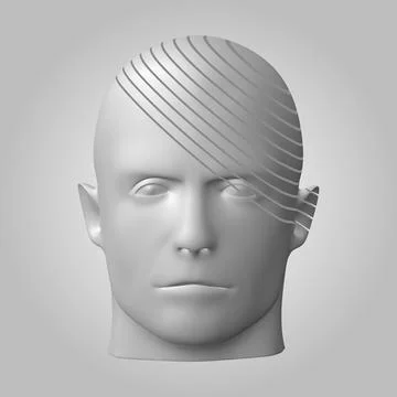 Broken head, 3d illustration. The split face of a person Stock Illustration
