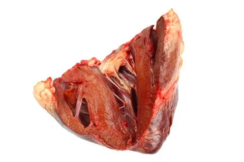 Broken heart Stock Photos