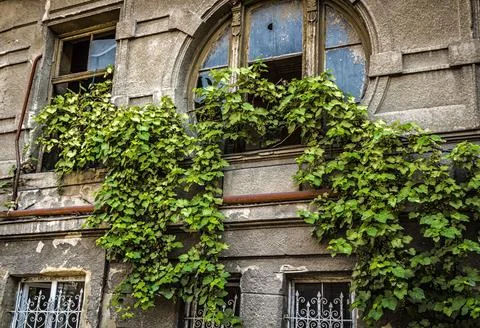 Broken house window Stock Photos