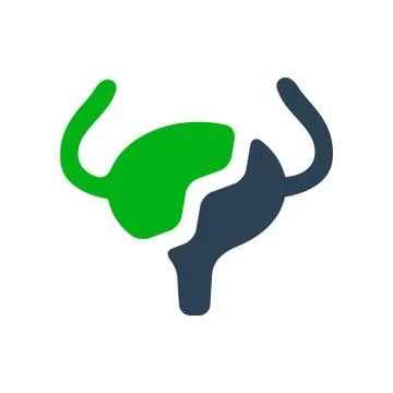 Broken human urinary bladder colored icon. Damaged, diseased internal organ Stock Illustration