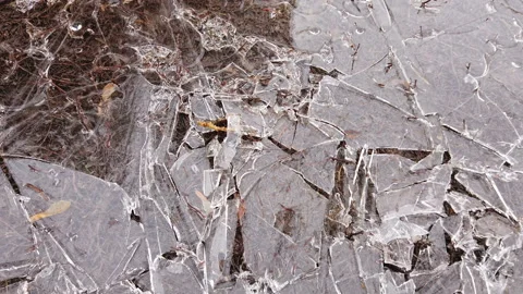 Broken ice in a puddle. spring time Stock Footage 151503821