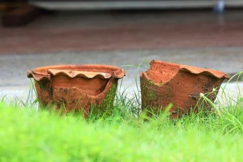Broken jardiniere with grass. Foto stock
