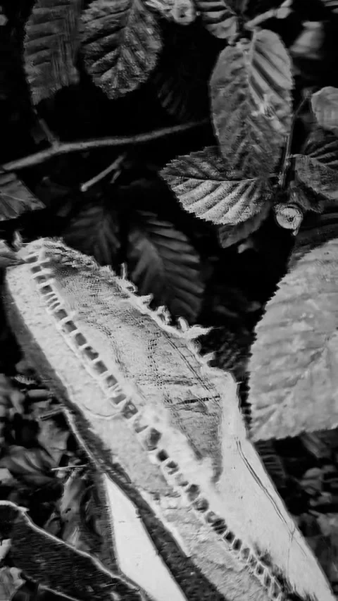 Broken kid shoe with effect Stockbeeldmateriaal 319438625